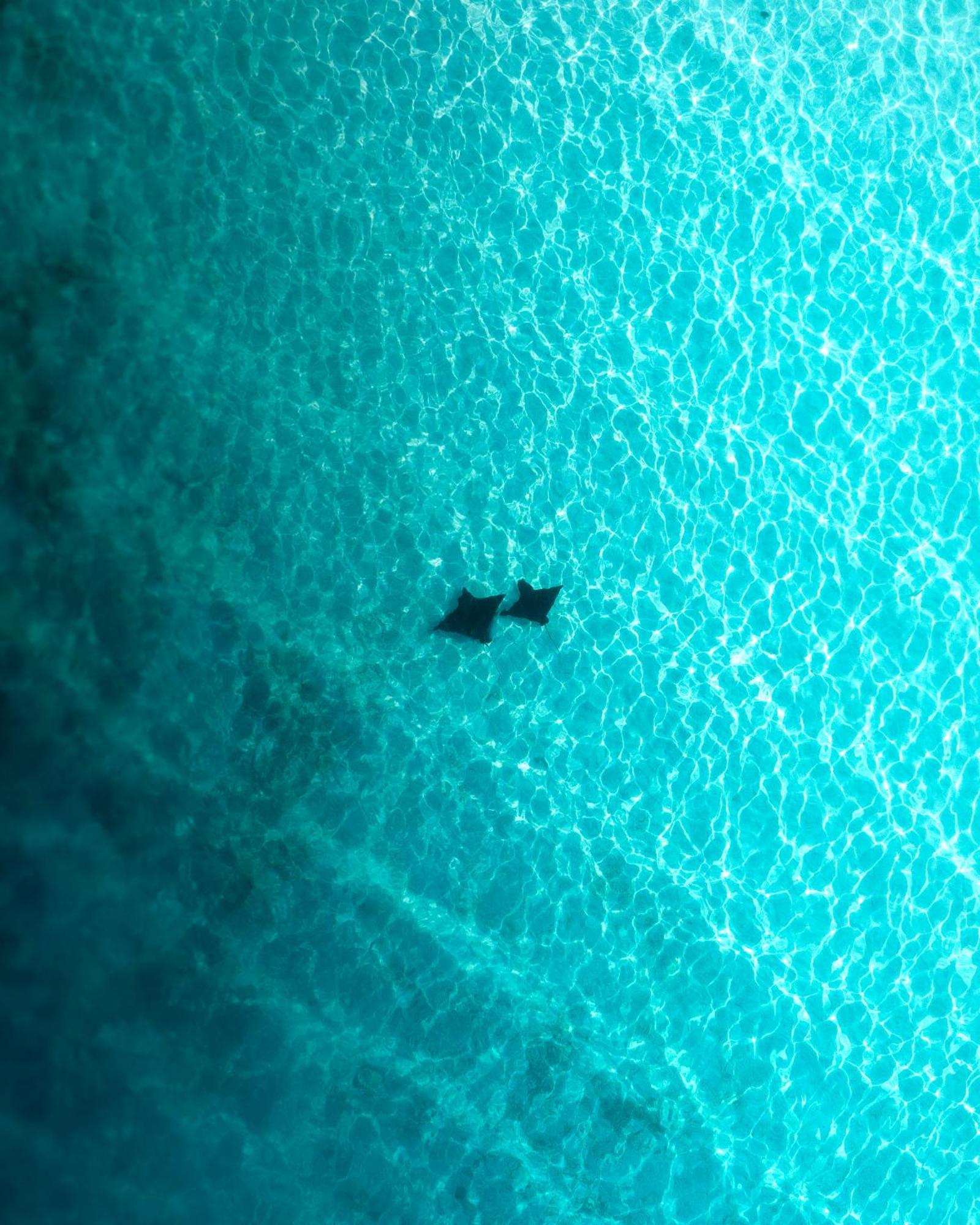 Ocean Pearl Maldives At Gulhi Island Hotel Bagian luar foto